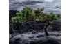 Nástenné hodiny Osamelý strom, 20x60 cm