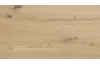 Šatníková skriňa so zrkadlom Savina 225 cm, dub artisan/šalviová