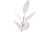 Umelá kvetina Vianočná vetva eukalyptus 73 cm, biela